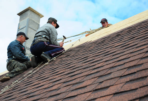 Best Roof Gutter Cleaning  in Mpbell, CA